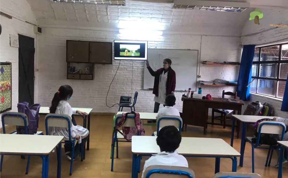 Ver para aprender. Mtra. Elizabeth Olivera
