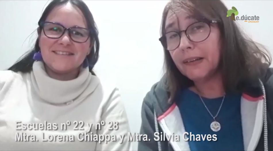 Ver para aprender. Mtras. Lorena Chiappa I Silvia Chavez.