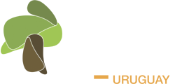 E.dúcate